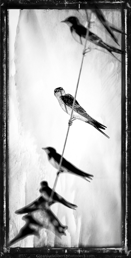 Photographie