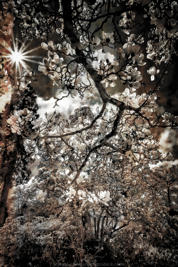 Photographie