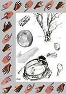 ORG 01 page gauche